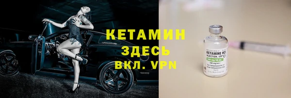 хмурый Пересвет