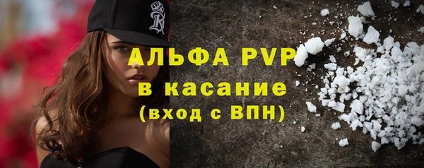 шишки Алексин
